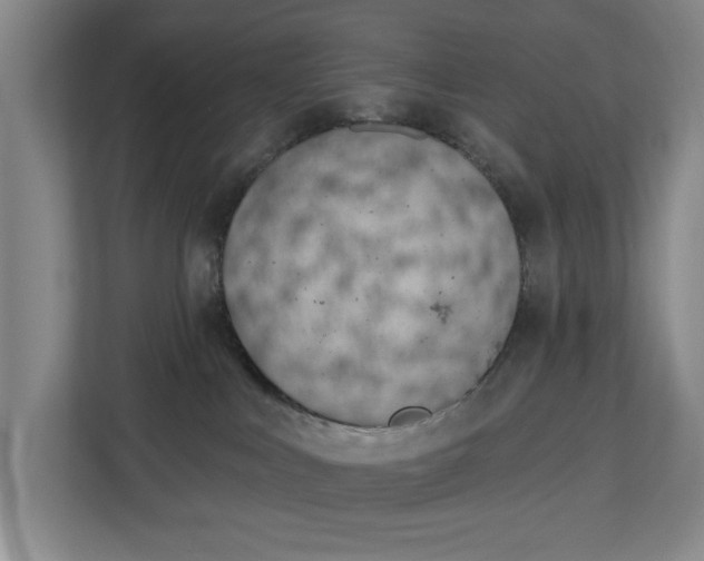 X0000112840043200909041531