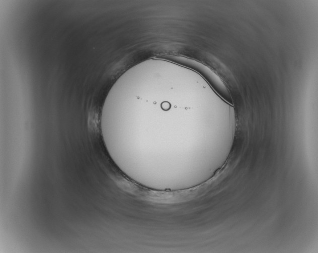 X0000112840045200909041531