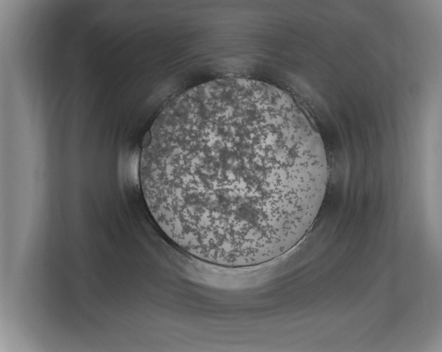 X0000112840047200909041531