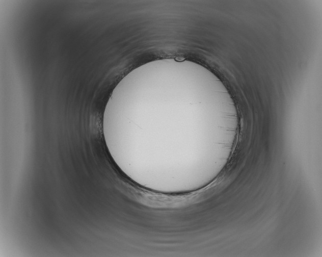 X0000112840048200909041531