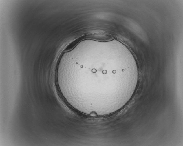 X0000112840049200909041531