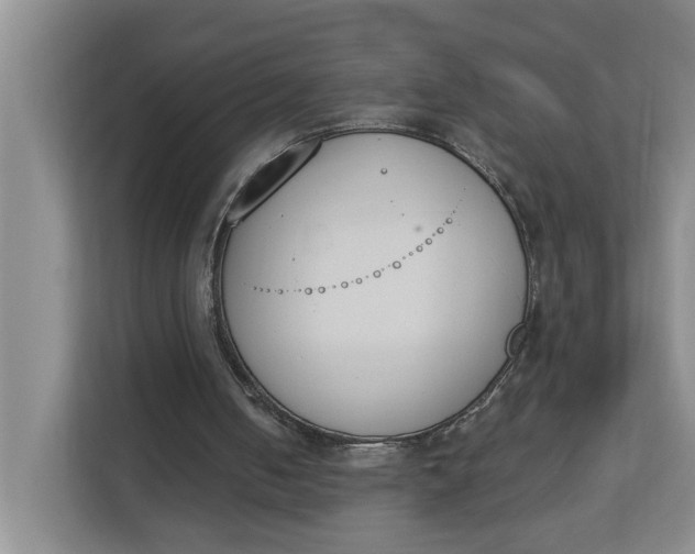 X0000112840050200909041531