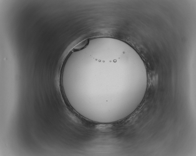 X0000112840051200909041531