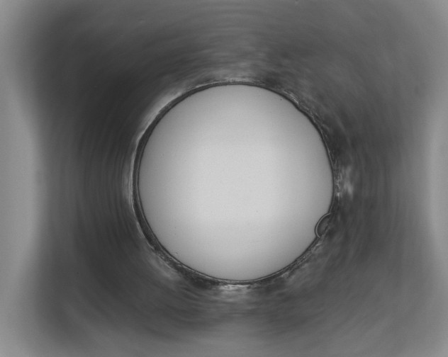 X0000112840052200909041531