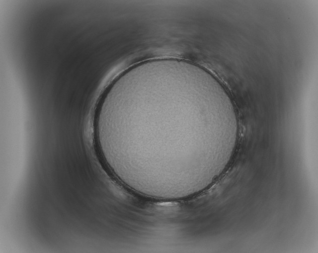 X0000112840053200909041531