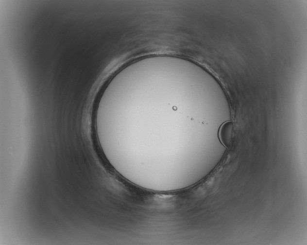 X0000112840055200909041531