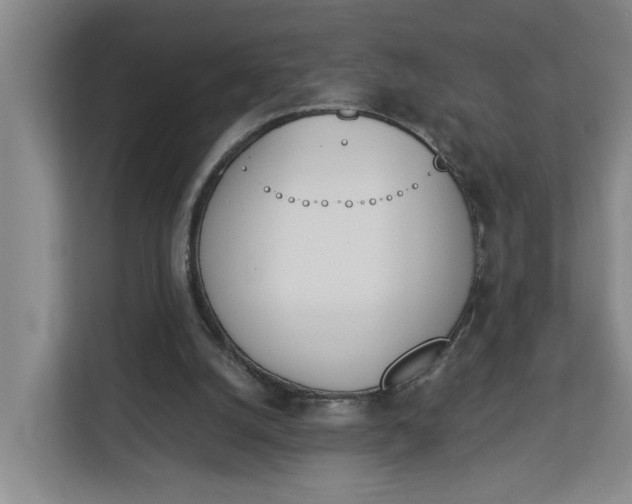 X0000112840056200909041531