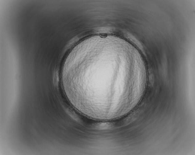 X0000112840059200909041531