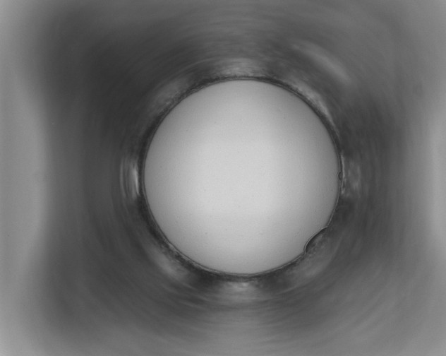 X0000112840061200909041531