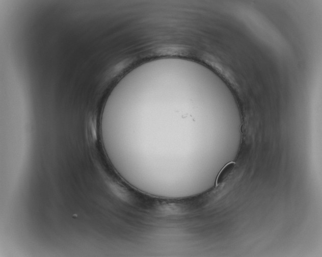 X0000112840062200909041531