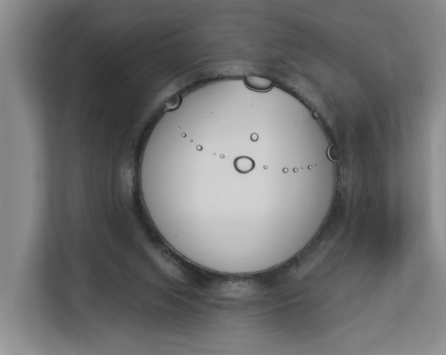 X0000112840063200909041531