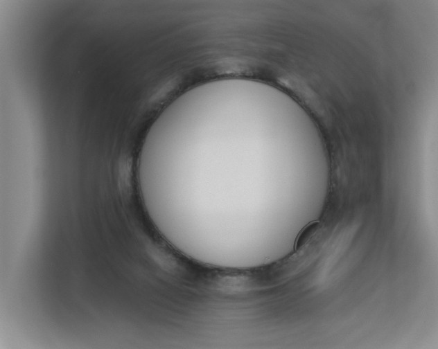 X0000112840066200909041531