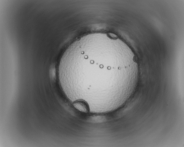 X0000112840067200909041531