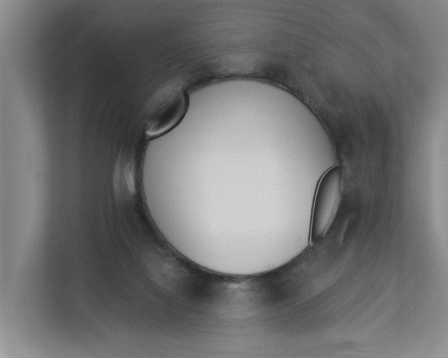 X0000112840068200909041531