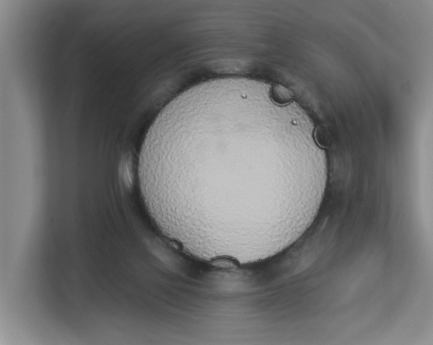 X0000112840069200909041531