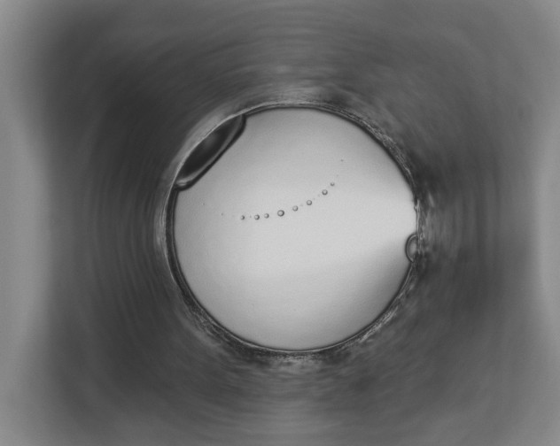 X0000112840099200909041531