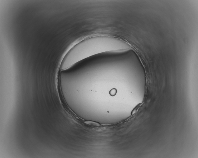 X0000112840100200909041531