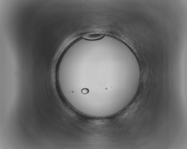 X0000112840103200909041531