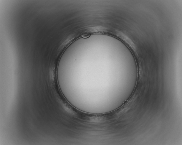 X0000112840105200909041530