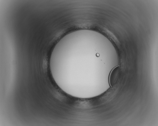 X0000112840113200909041530