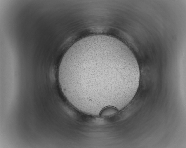 X0000112840114200909041530