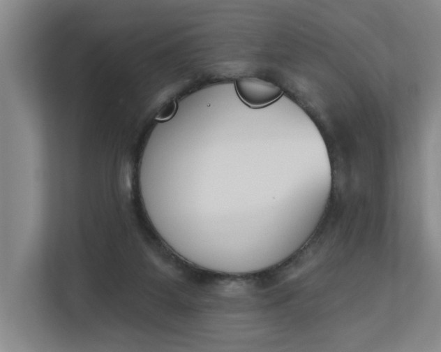 X0000112840115200909041530