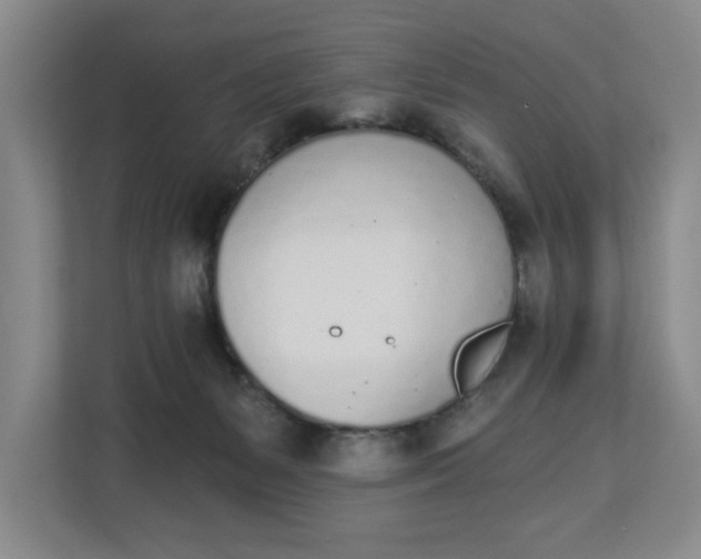 X0000112840127200909041530