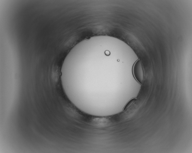 X0000112840133200909041530