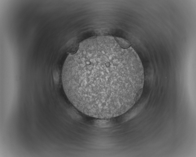 X0000112840139200909041530