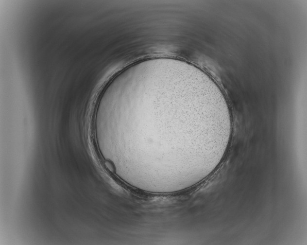 X0000112840145200909041529