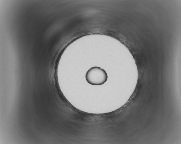 X0000112840146200909041529