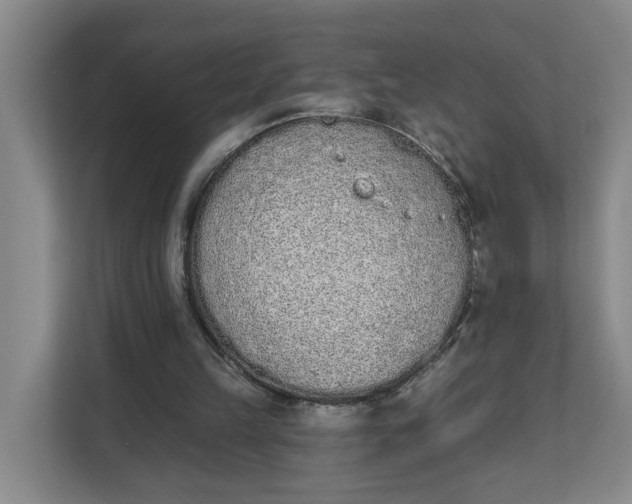 X0000112840149200909041529