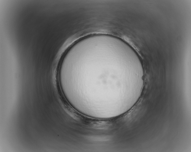 X0000112840151200909041529