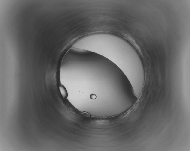 X0000112840154200909041529