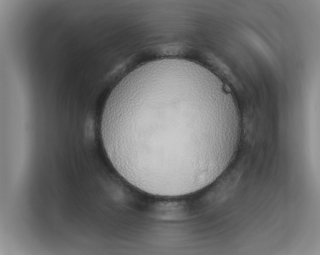 X0000112840161200909041530