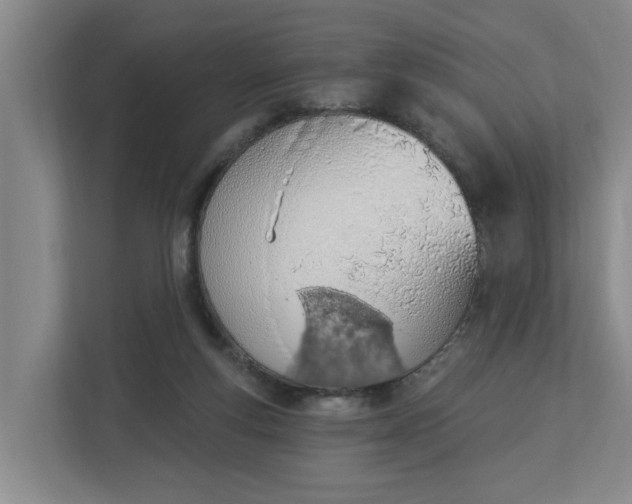 X0000112840163200909041530