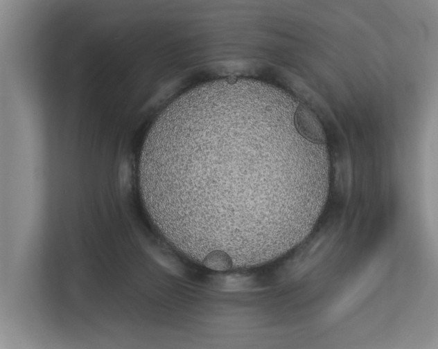 X0000112840165200909041530