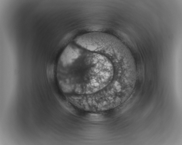 X0000112840167200909041530