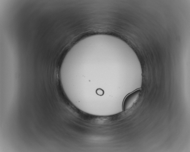 X0000112840172200909041530