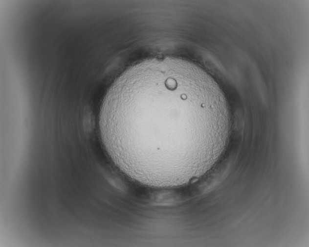 X0000112840173200909041530