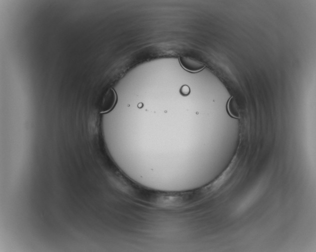 X0000112840174200909041530