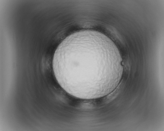 X0000112840175200909041530