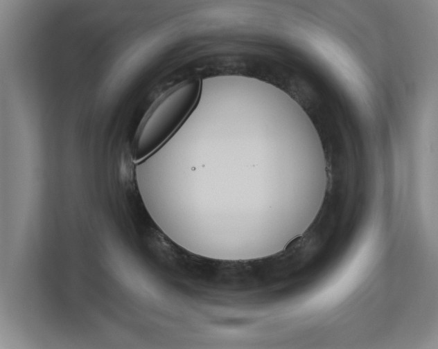 X0000112840190200909041530