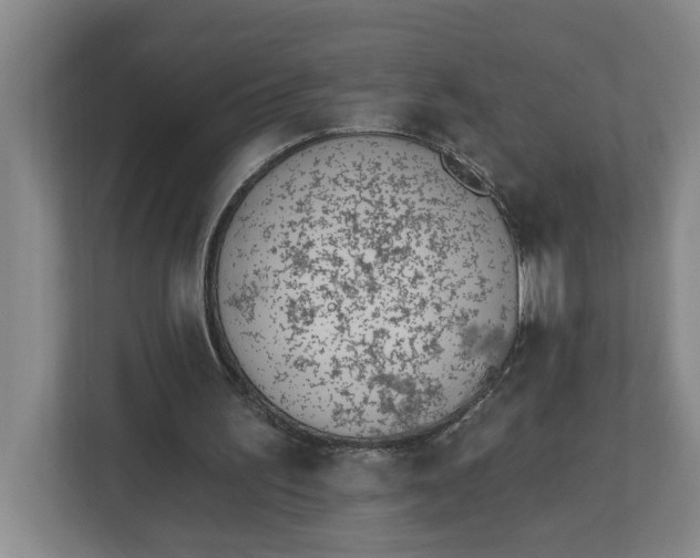 X0000112840195200909041529