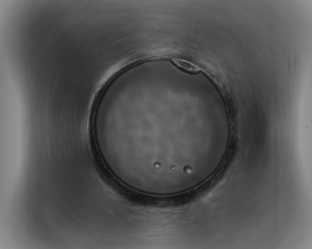 X0000112840196200909041529