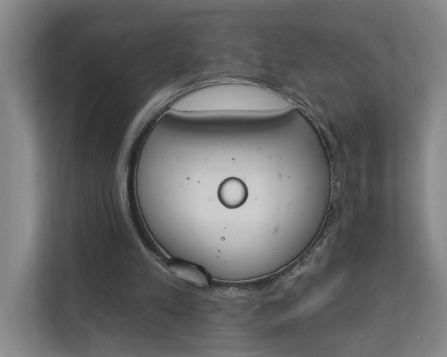 X0000112840197200909041529