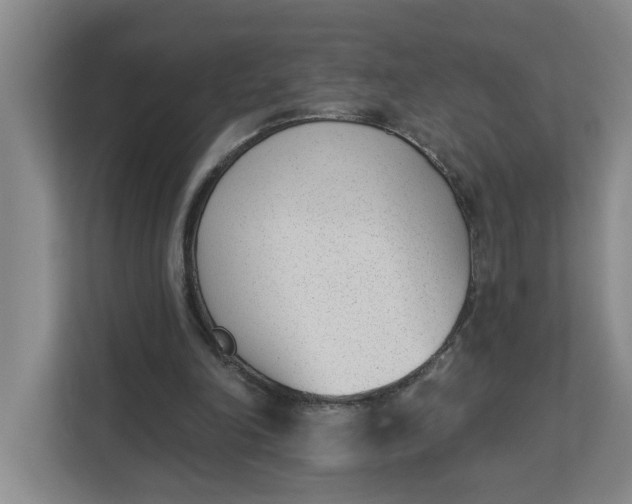 X0000112840198200909041529