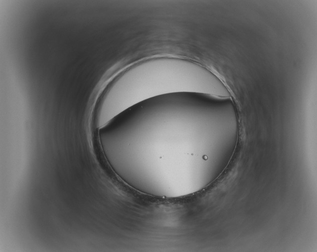 X0000112840199200909041529