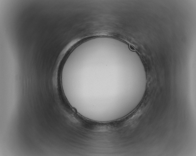 X0000112840200200909041529