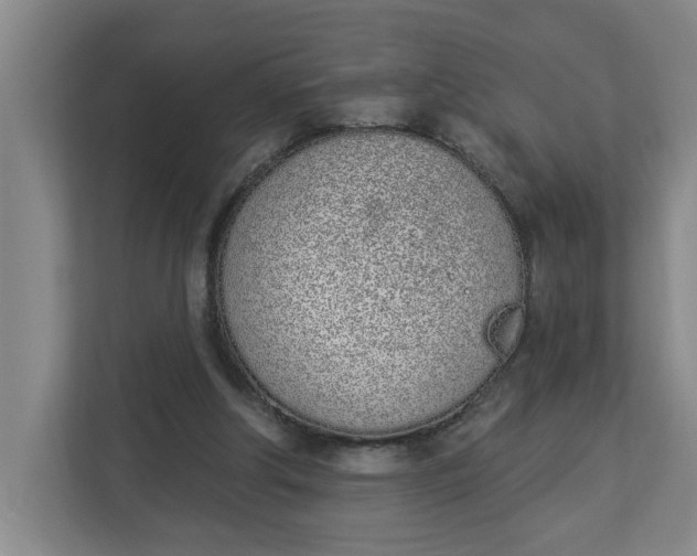 X0000112840202200909041529